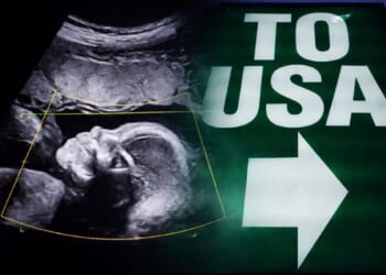 America’s Birth Trend Sparks Alarm As A Controversial Slice Nears 1 In 10