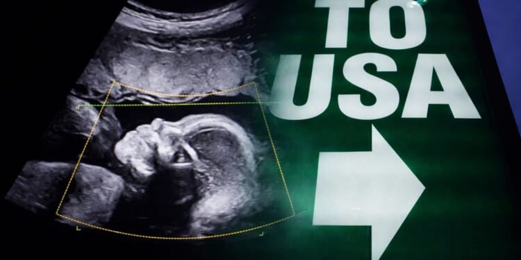 America’s Birth Trend Sparks Alarm As A Controversial Slice Nears 1 In 10