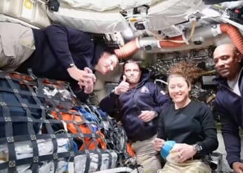 Artemis 2 astronauts' final six words before losing contact with NASA | Science | News