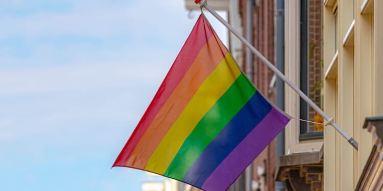 Boise removes LGBT 'pride' flag from city hall due to new Idaho law