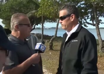 Brickbat: Miami Vice