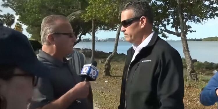 Brickbat: Miami Vice