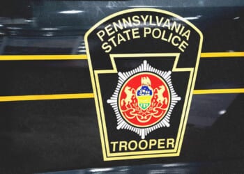 Brickbat: Taking Pictures