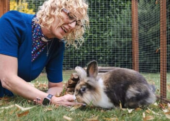 Brighter dawn for bunnies, thanks to vicar