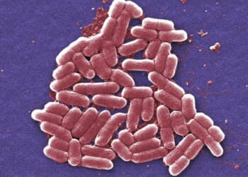 CCP Member and Biology Researcher at U.S. University Guilty in E. Coli DNA Smuggling Scheme From China – RedState