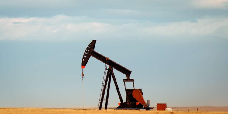 California progressives want 'Big Oil' to fix insurance crisis created by state price controls