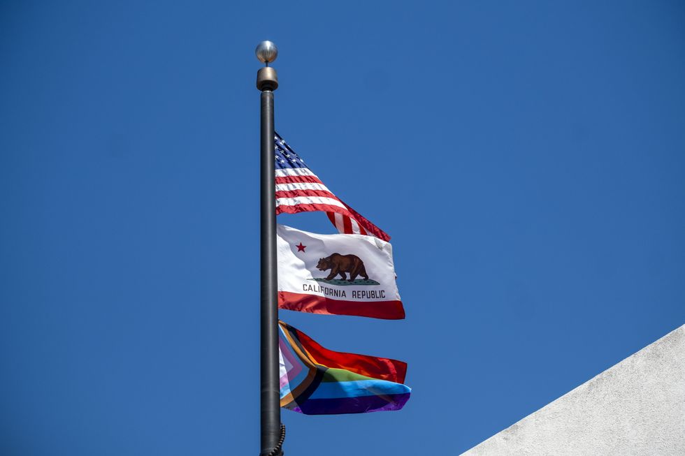 California Progressive flag