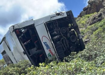 Canary Islands bus crash update as possible cause found after Brit dies | World | News