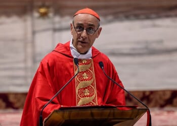 Cardinal Fernández interview should clarify that Pope Leo is following Francis' playbook