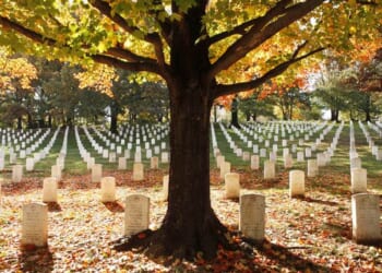 DOJ's Dhillon Reveals That an Awful Lot of People on Voter Rolls Are Dead – RedState