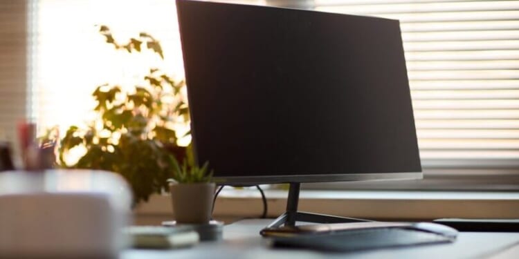 Detroit archdiocese failed to properly investigate pornography on parish computers: whistleblowers