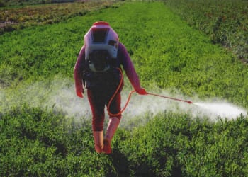 Does Roundup cause cancer? Monsanto's Supreme Court case could have big impacts on the food industry.