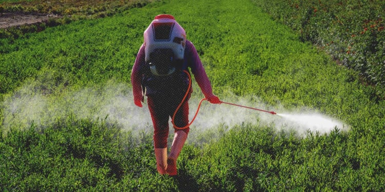 Does Roundup cause cancer? Monsanto's Supreme Court case could have big impacts on the food industry.