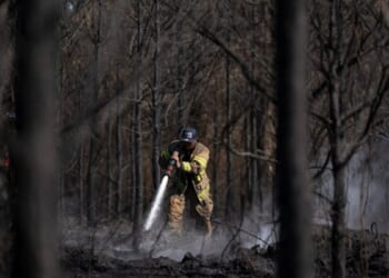 Georgia Declares State Of Emergency As Wildfires Rage In South