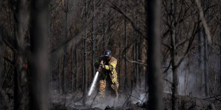 Georgia Declares State Of Emergency As Wildfires Rage In South