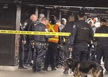 Grand Central shooting LIVE: New York station stabbing as police fire at 'machete stabber' | World | News