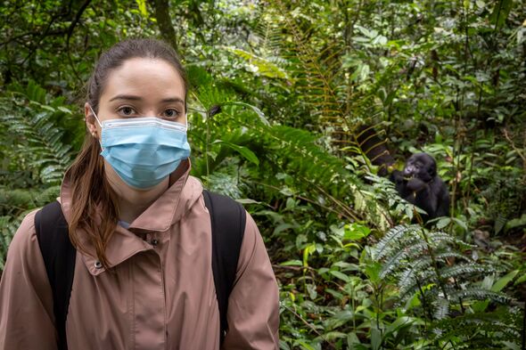 Steph Spyro standing beside a mountain gorilla Steph Spyro standing beside a mountain gorilla
