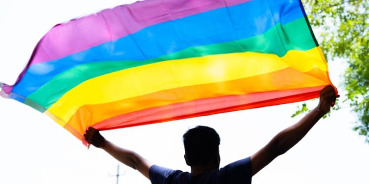 LGBT activists protest India's new restrictions on 'transgender' self-identification 'rights'