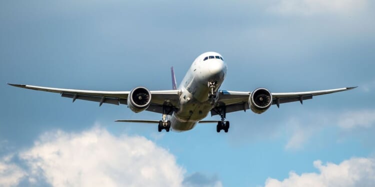 Major UK airline plunges onto liquidation - no more flights | UK | News