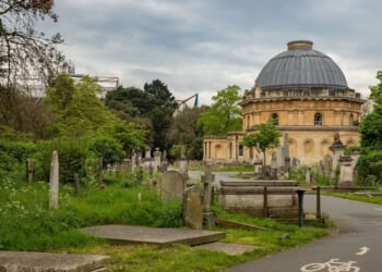 Major warning for UK dog walkers as poisoned meat found in UK parks | UK | News