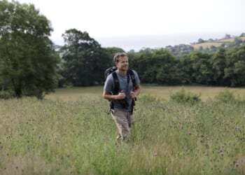 NatGeo’s ‘Secrets of the Bees’ showcases wonder of God’s creation through intimate look at insects