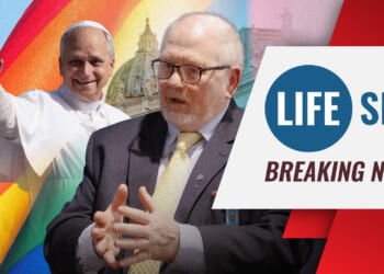 Pope Leo XIV’s former classmate theologian blasts Pope’s downplaying sexual sin