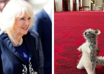 Queen Camilla to reunite beloved Winnie the Pooh toy during US visit | Royal | News