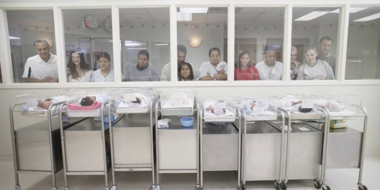 The US fertility crisis is a 'prophecy' of decline