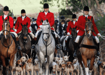 Trail hunting ban: Thousands of jobs - and dogs