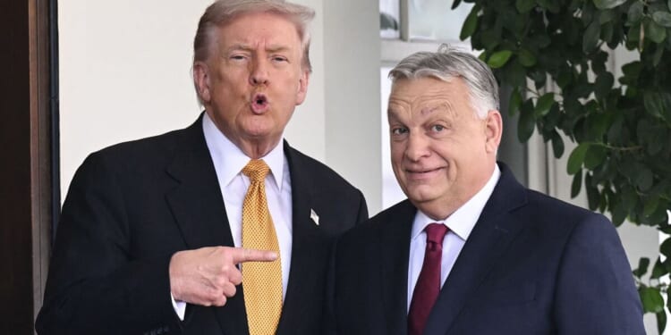 Trump risks bitter EU row after praising Hungary PM Viktor Orban | World | News
