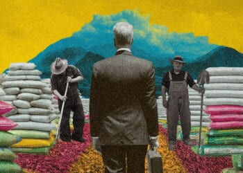Trump wants lower fertilizer prices. His trade chief helped raise them.