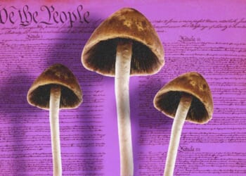 Trump’s psychedelic push helps patients but leaves most users as criminals