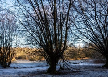 UK weather forecast as brutal 10C drop to replace April heat in hours | Weather | News