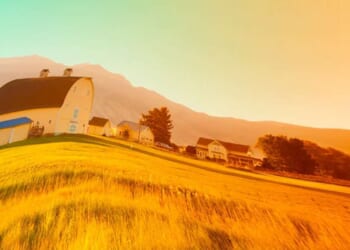 'Yesteryear' explores the life of a tradwife