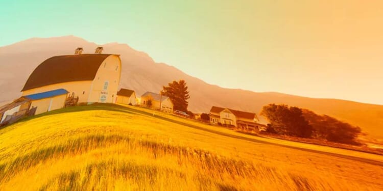 'Yesteryear' explores the life of a tradwife