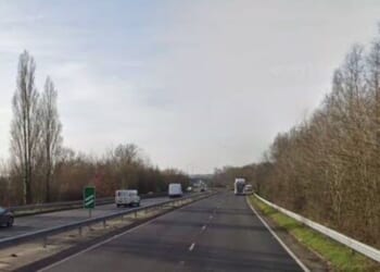 Young girl and man die in horror UK crash involving pony | UK | News