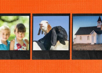 Zoning's war on cuddly animals, cute kids, and Christian charity