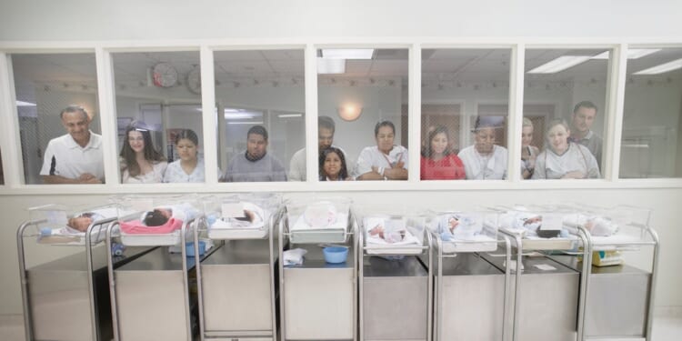 ‘Anchor Baby’ Schemes Are Thriving And The System Making It Possible Is Still Untouched