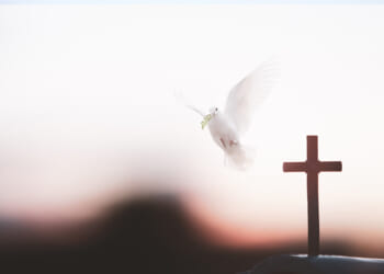 An overcorrection of the Holy Spirit in the charismatic church?