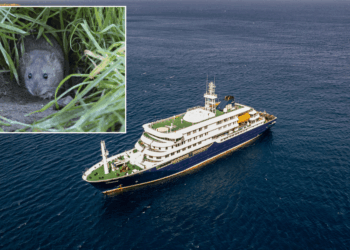 British tourist fighting for his life after 'rare rodent virus' breaks out on cruise ship killing three