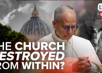 Synodality will DESTROY the church from within