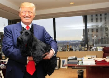 Trump Hilariously Roasts Biden’s Bite-Happy Dog—Then Imagines Himself Walking a ‘Lovely Little Poodle’ – RedState